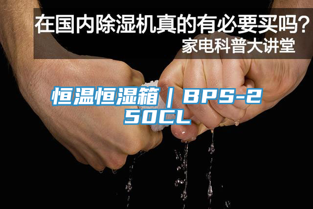 恒温恒湿箱｜BPS-250CL