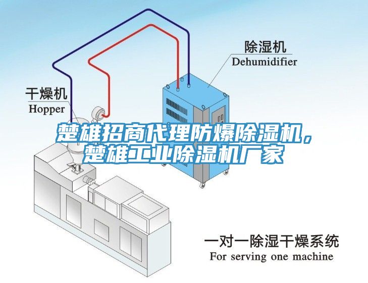 楚雄招商代理防爆辣椒视频APP下载并安装，楚雄工业辣椒视频APP下载并安装厂家