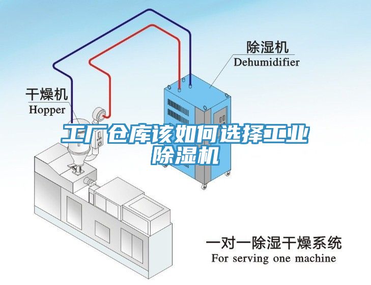 工厂仓库该如何选择工业辣椒视频APP下载并安装