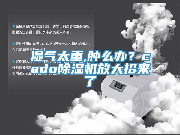 湿气太重,肿么办？cado辣椒视频APP下载并安装放大招来了