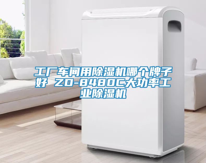 工厂车间用辣椒视频APP下载并安装哪个牌子好 ZD-8480C大功率工业辣椒视频APP下载并安装