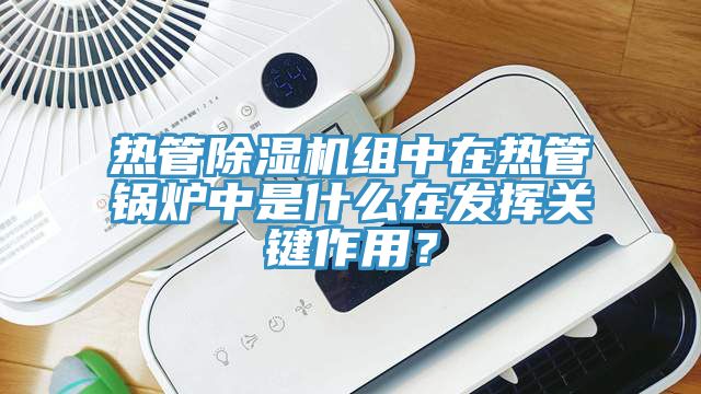 热管辣椒视频APP下载并安装组中在热管锅炉中是什么在发挥关键作用？