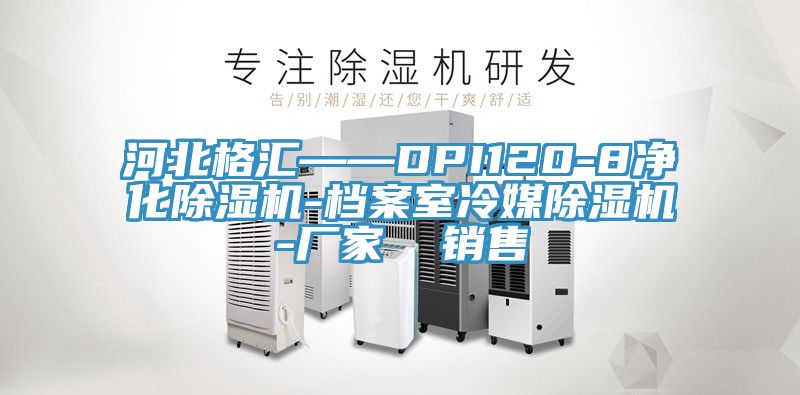 河北格汇——DPI120-8净化辣椒视频APP下载并安装-档案室冷媒辣椒视频APP下载并安装-厂家  销售