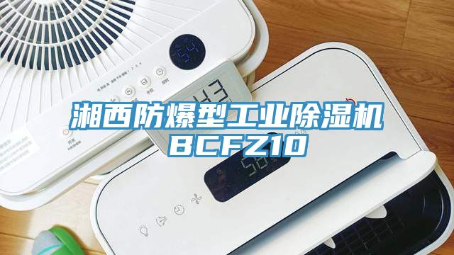 湘西防爆型工业辣椒视频APP下载并安装 BCFZ10