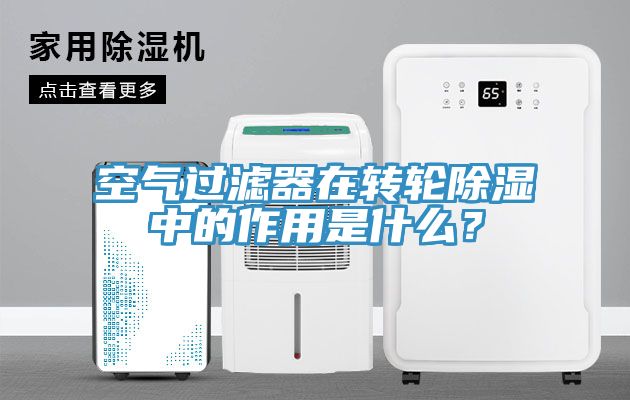 空气过滤器在转轮除湿中的作用是什么？