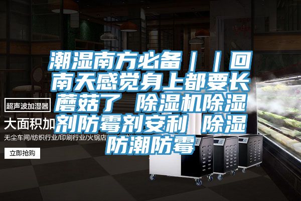 潮湿南方必备｜｜回南天感觉身上都要长蘑菇了 辣椒视频APP下载并安装除湿剂防霉剂安利 除湿防潮防霉