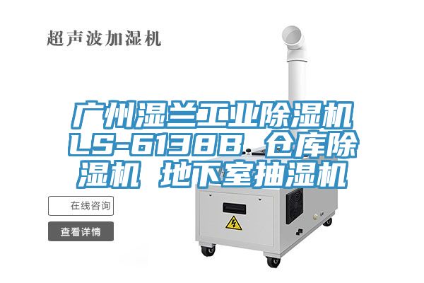 广州湿兰工业辣椒视频APP下载并安装LS-6138B 仓库辣椒视频APP下载并安装 地下室抽湿机