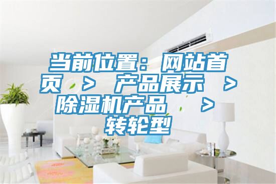 当前位置：网站首页 ＞ 产品展示 ＞ 辣椒视频APP下载并安装产品  ＞ 转轮型