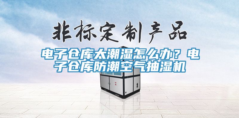 电子仓库太潮湿怎么办？电子仓库防潮空气抽湿机