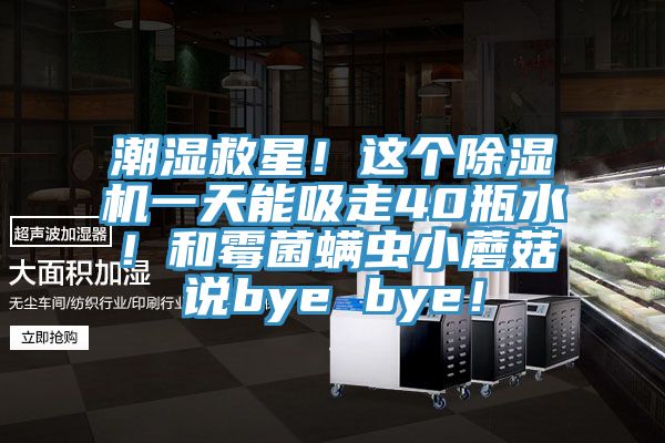 潮湿救星！这个辣椒视频APP下载并安装一天能吸走40瓶水！和霉菌螨虫小蘑菇说bye bye！