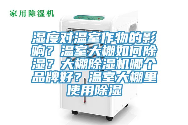 湿度对温室作物的影响？温室大棚如何除湿？大棚辣椒视频APP下载并安装哪个品牌好？温室大棚里使用除湿