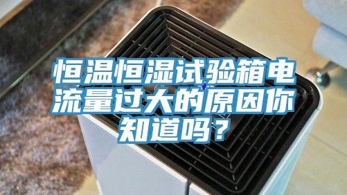 恒温恒湿试验箱电流量过大的原因你知道吗？