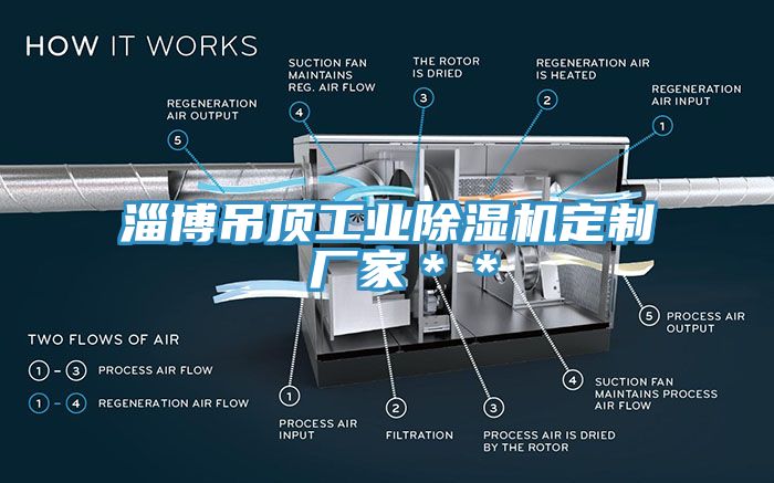 淄博吊顶工业辣椒视频APP下载并安装定制 厂家＊＊