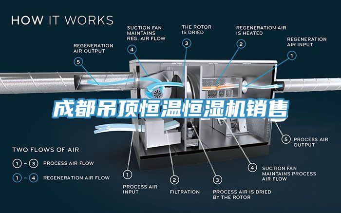 成都吊顶恒温恒湿机销售