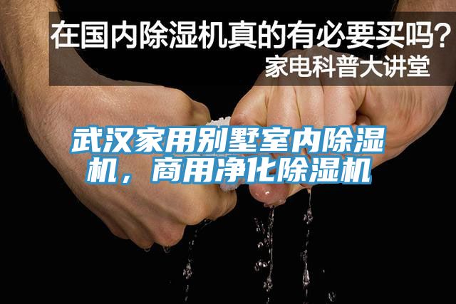 武汉家用别墅室内辣椒视频APP下载并安装，商用净化辣椒视频APP下载并安装