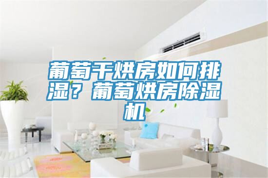 葡萄干烘房如何排湿？葡萄烘房辣椒视频APP下载并安装