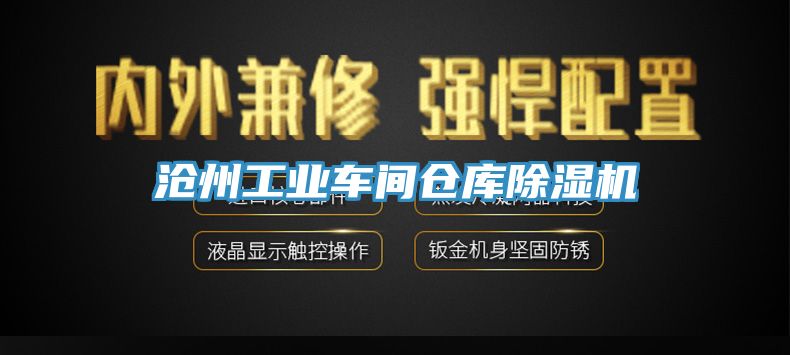 沧州工业车间仓库辣椒视频APP下载并安装