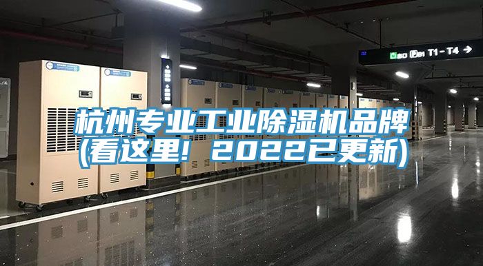 杭州专业工业辣椒视频APP下载并安装品牌(看这里! 2022已更新)