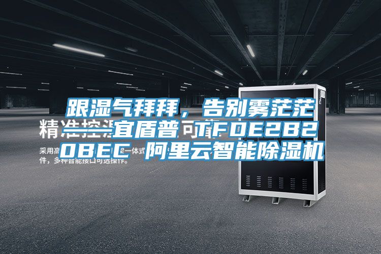 跟湿气拜拜，告别雾茫茫——宜盾普 TFDE2B20BEC 阿里云智能辣椒视频APP下载并安装