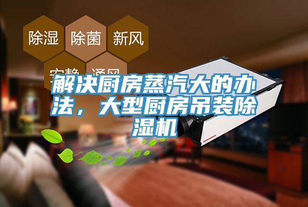 解决厨房蒸汽大的办法，大型厨房吊装辣椒视频APP下载并安装