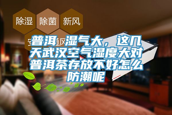 普洱 湿气大，这几天武汉空气湿度大对普洱茶存放不好怎么防潮呢