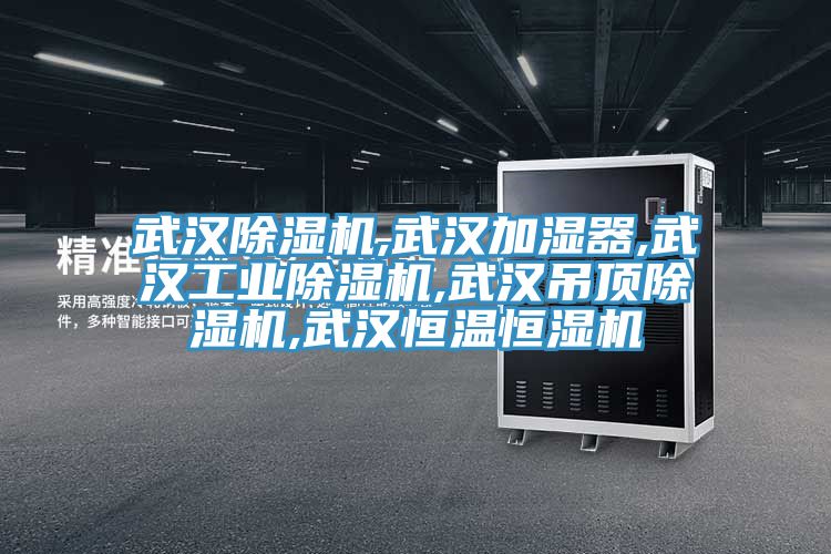 武汉辣椒视频APP下载并安装,武汉加湿器,武汉工业辣椒视频APP下载并安装,武汉吊顶辣椒视频APP下载并安装,武汉恒温恒湿机