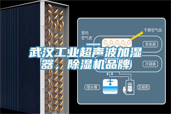 武汉工业超声波加湿器，辣椒视频APP下载并安装品牌