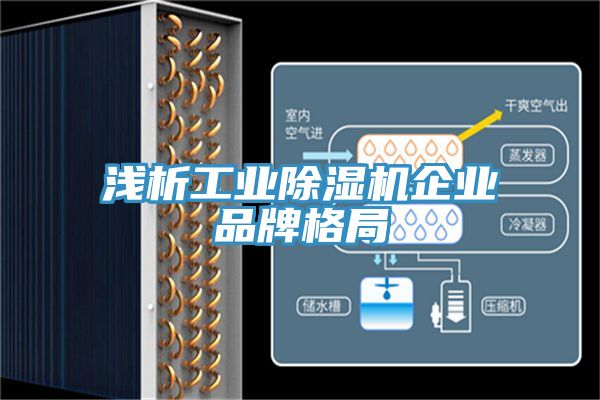 浅析工业辣椒视频APP下载并安装企业品牌格局