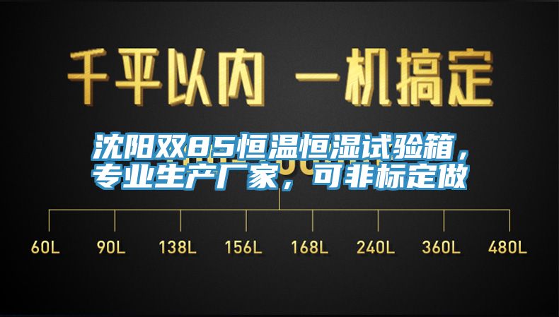 沈阳双85恒温恒湿试验箱，专业生产厂家，可非标定做