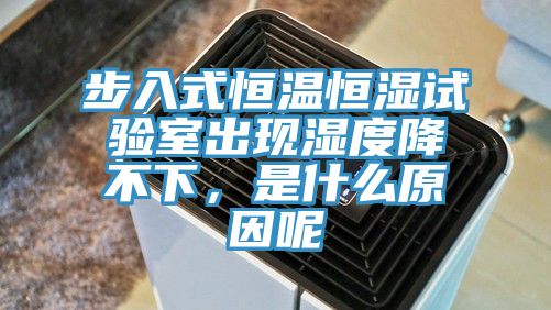 步入式恒温恒湿试验室出现湿度降不下，是什么原因呢