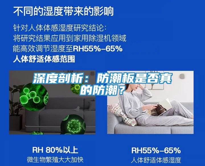 深度剖析：防潮板是否真的防潮？