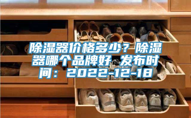 除湿器价格多少？除湿器哪个品牌好 发布时间：2022-12-18