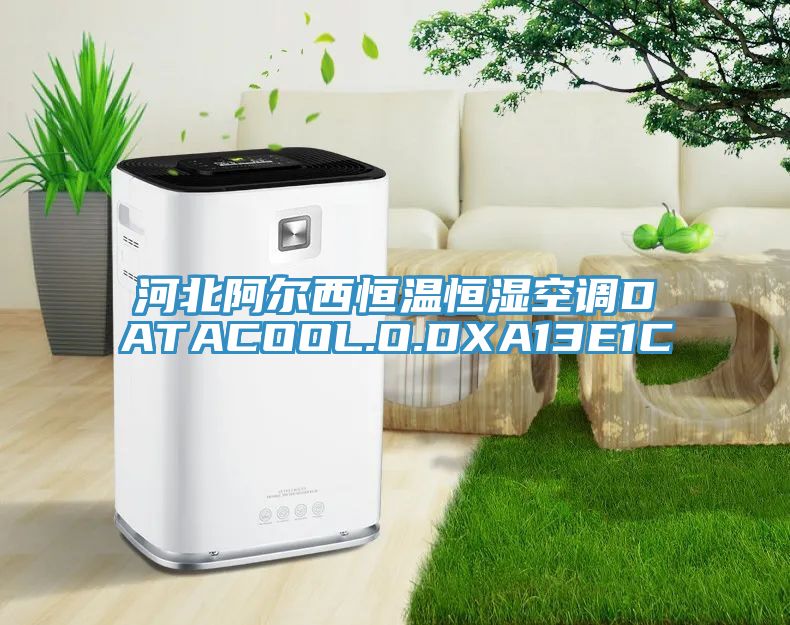 河北阿尔西恒温恒湿空调DATACOOL.O.DXA13E1C