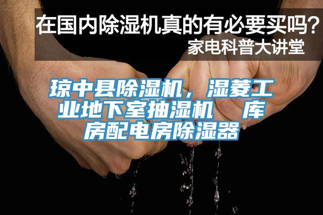 琼中县辣椒视频APP下载并安装，湿菱工业地下室抽湿机  库房配电房除湿器