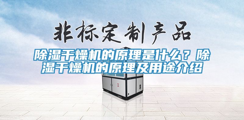 除湿干燥机的原理是什么？除湿干燥机的原理及用途介绍