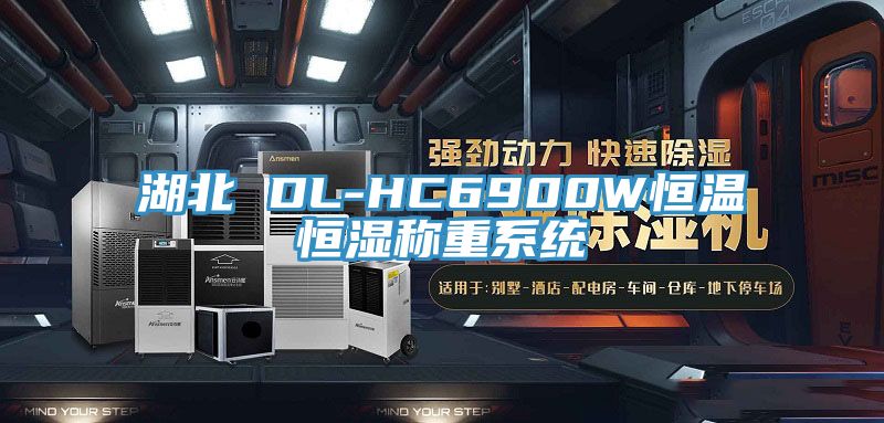 湖北 DL-HC6900W恒温恒湿称重系统