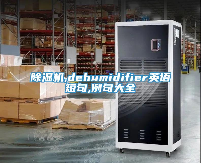 辣椒视频APP下载并安装,dehumidifier英语短句,例句大全