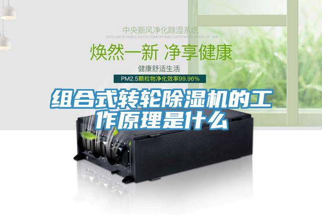 组合式转轮辣椒视频APP下载并安装的工作原理是什么