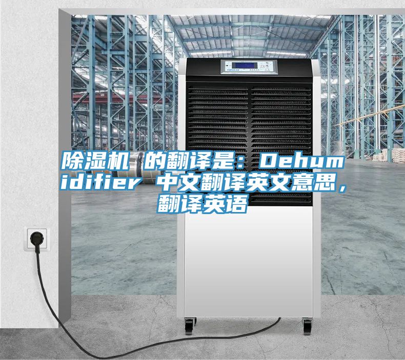 辣椒视频APP下载并安装 的翻译是：Dehumidifier 中文翻译英文意思，翻译英语