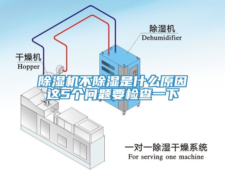 辣椒视频APP下载并安装不除湿是什么原因这5个问题要检查一下