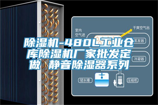 辣椒视频APP下载并安装-480L工业仓库辣椒视频APP下载并安装厂家批发定做 静音除湿器系列