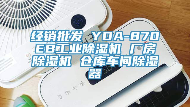 经销批发 YDA-870EB工业辣椒视频APP下载并安装 厂房辣椒视频APP下载并安装 仓库车间除湿器