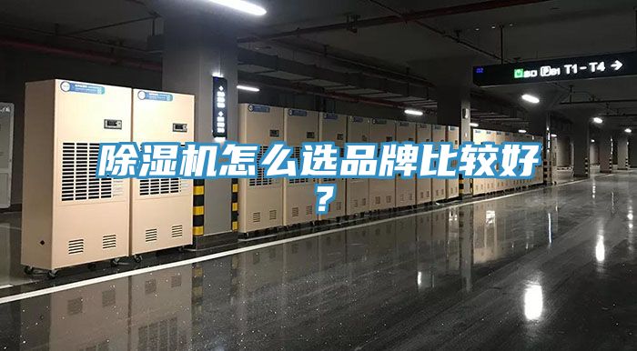 辣椒视频APP下载并安装怎么选品牌比较好？