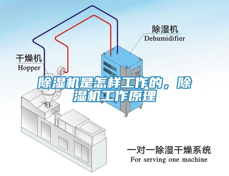 辣椒视频APP下载并安装是怎样工作的，辣椒视频APP下载并安装工作原理