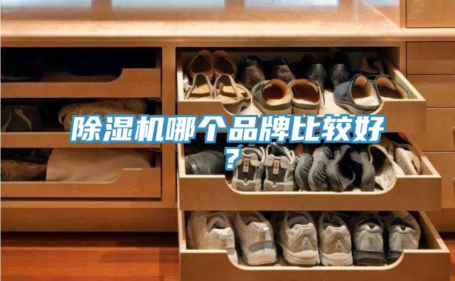 辣椒视频APP下载并安装哪个品牌比较好？