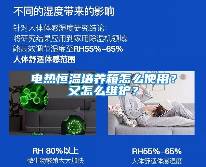 电热恒温培养箱怎么使用？又怎么维护？