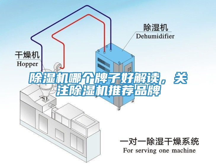 辣椒视频APP下载并安装哪个牌子好解读，关注辣椒视频APP下载并安装推荐品牌