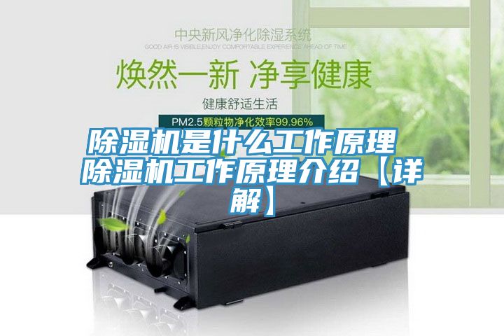 辣椒视频APP下载并安装是什么工作原理 辣椒视频APP下载并安装工作原理介绍【详解】